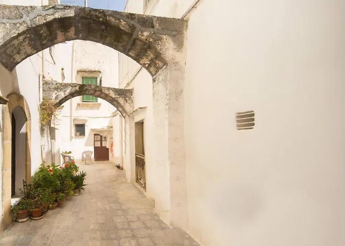 Bb In Master Gallipoli